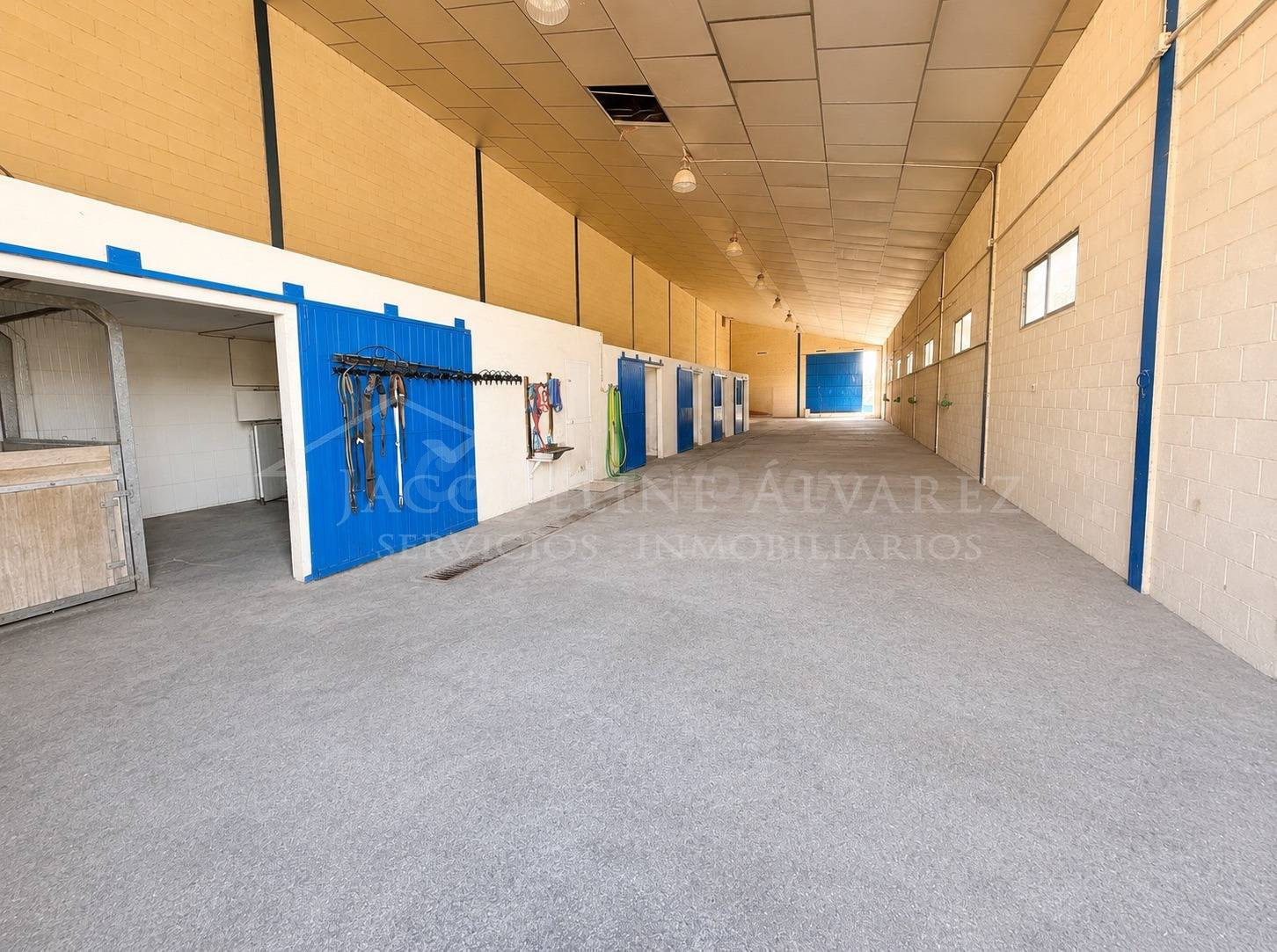 FINCA RÚSTICA DE 20.000 M2 CON NAVE Y ZONA ACONDICIONADA CON - foto 3