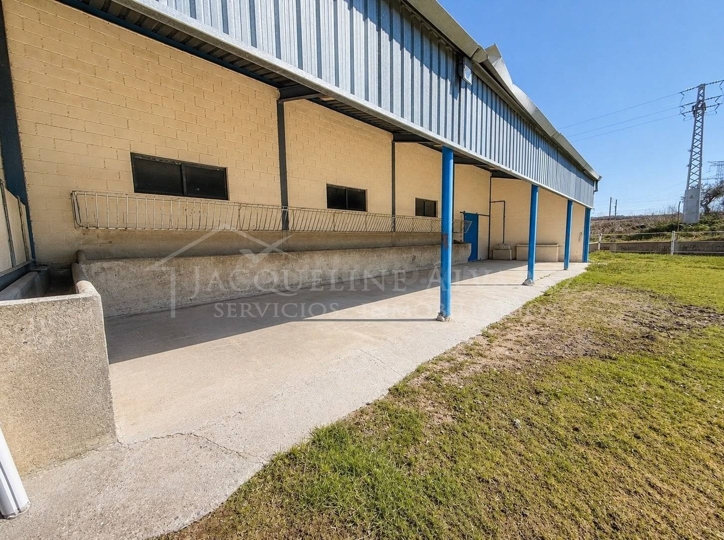 FINCA RÚSTICA DE 20.000 M2 CON NAVE Y ZONA ACONDICIONADA CON - foto 4
