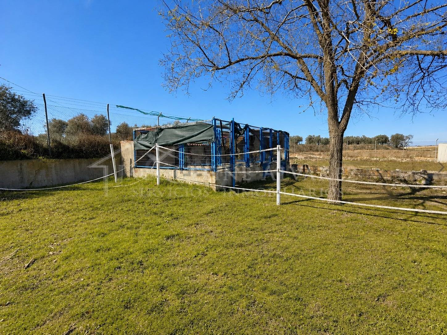 FINCA RÚSTICA DE 20.000 M2 CON NAVE Y ZONA ACONDICIONADA CON - foto 5