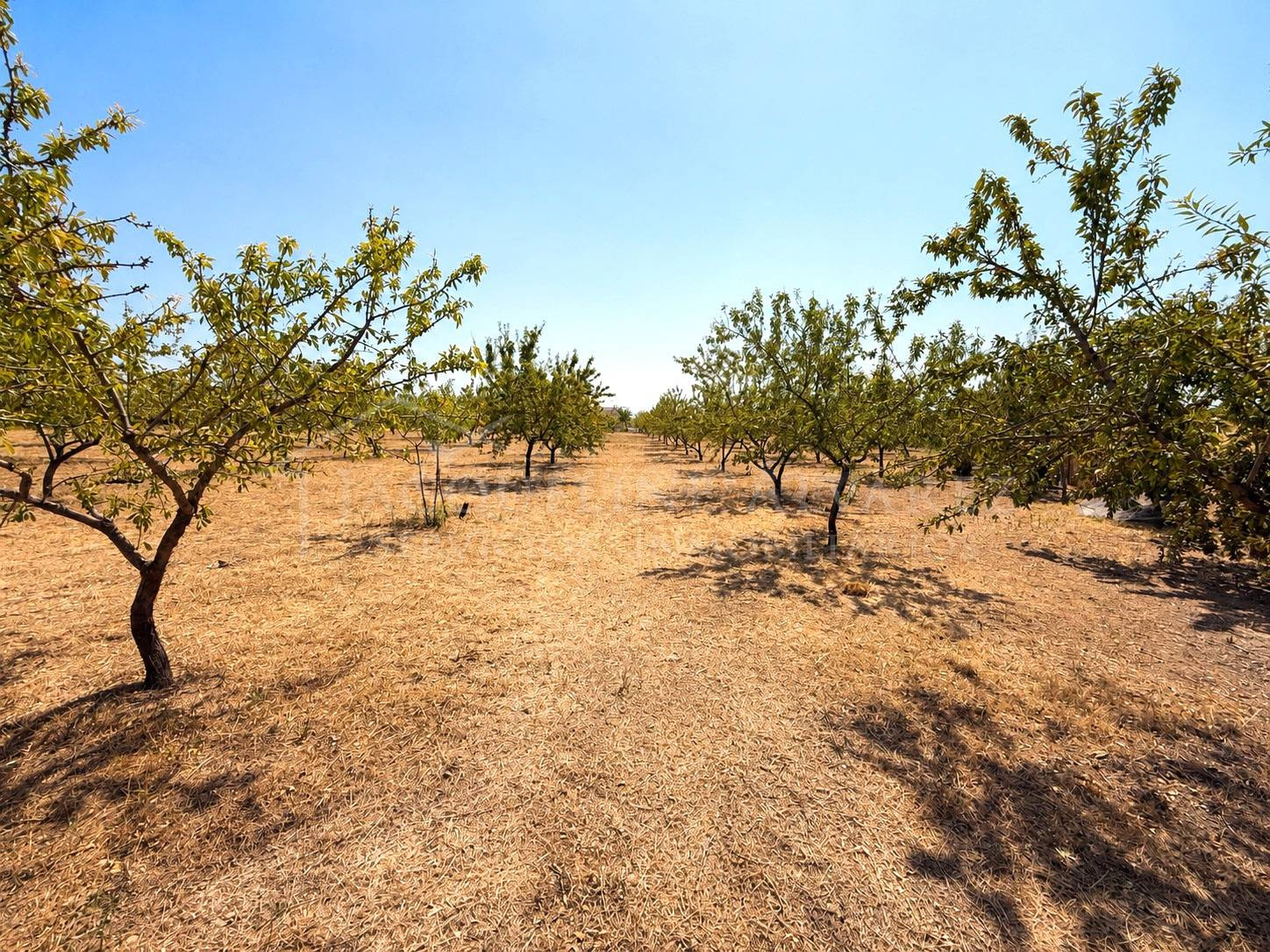 FINCA RÚSTICA DE 10.000 M2 CON GRAN POTENCIAL DE APROVECHAMIENTO