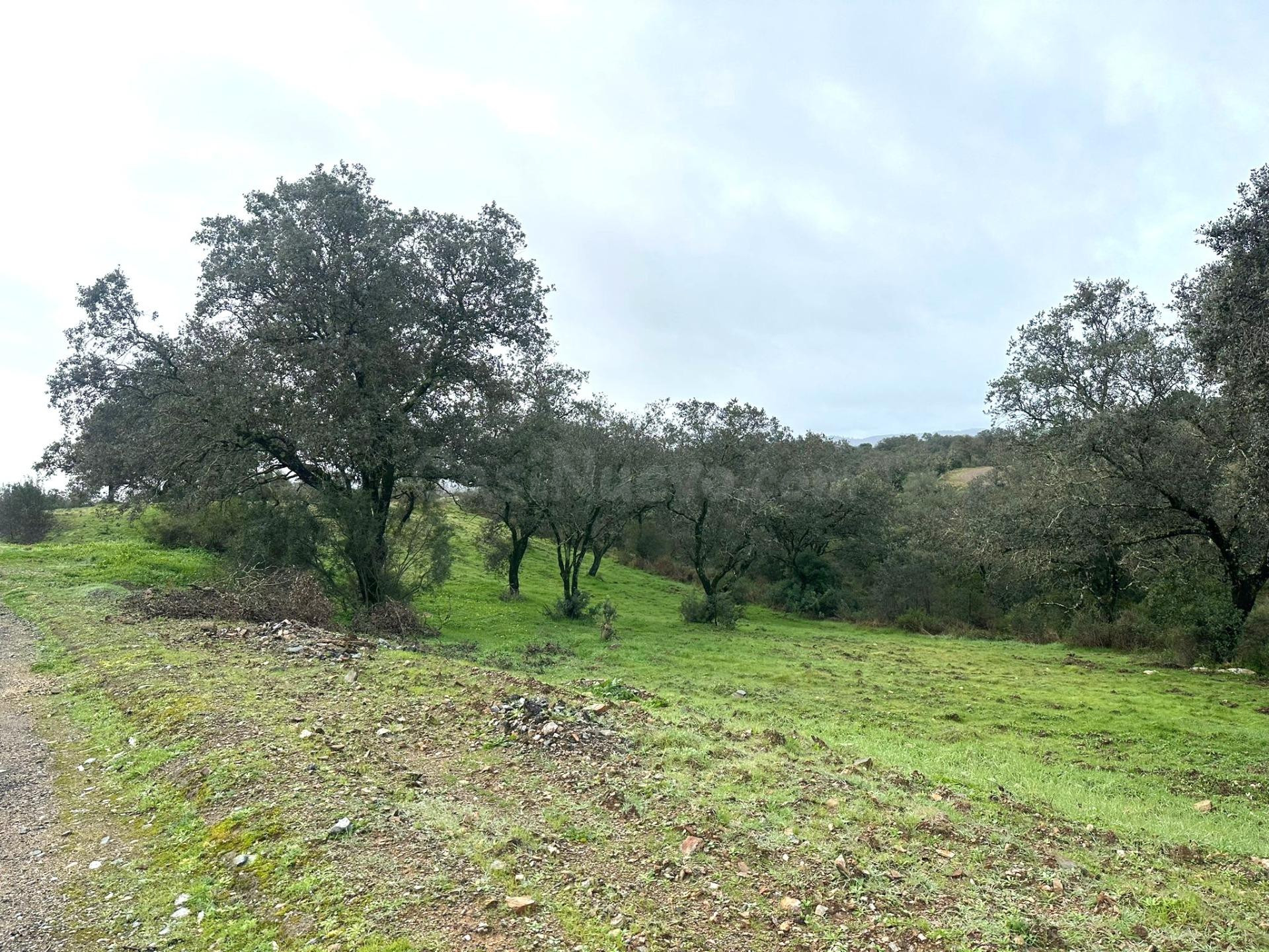 GRAN OPORTUNIDAD EN LAGOS DEL SERRANO (GUILLENA)
