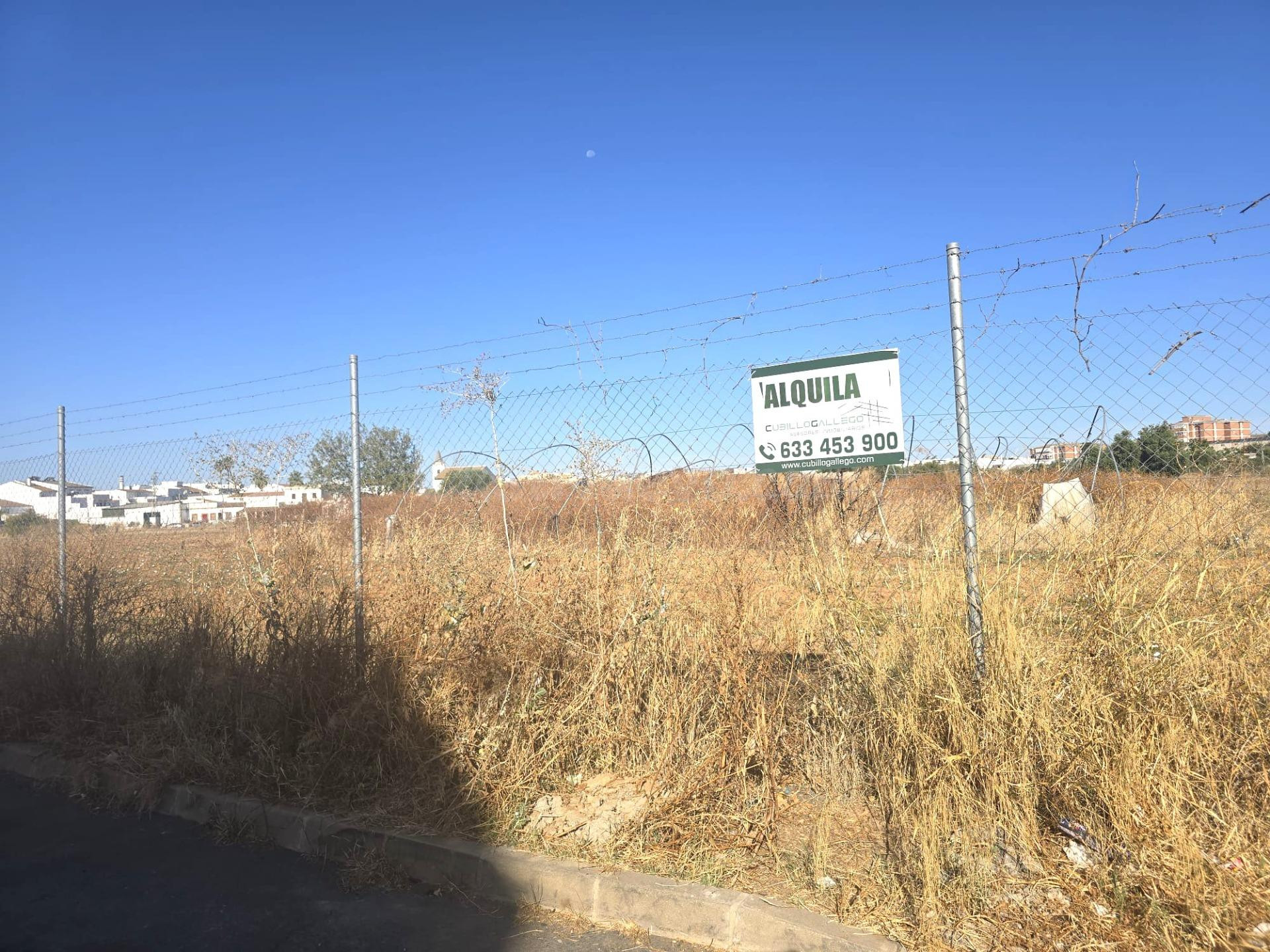 SE ALQUILA TIERRA DE CULTIVO – 12.000 m2