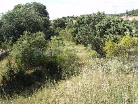 Terreno Urbano en Maello (Ávila) - Urbanización la Fontanill - foto 2