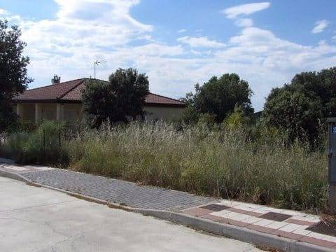 Terreno Urbano en Maello (Ávila) - Urbanización la Fontanill - foto 4