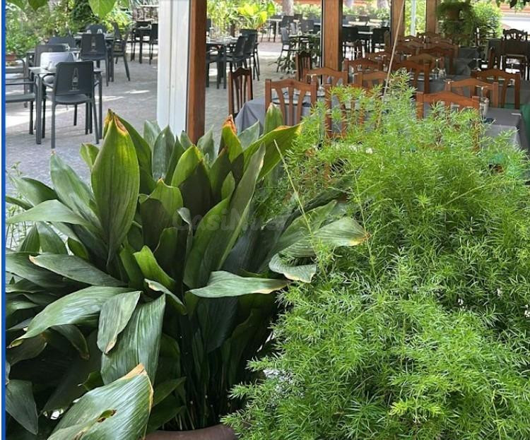 RESTAURANTE CON VIVIENDA - foto 3