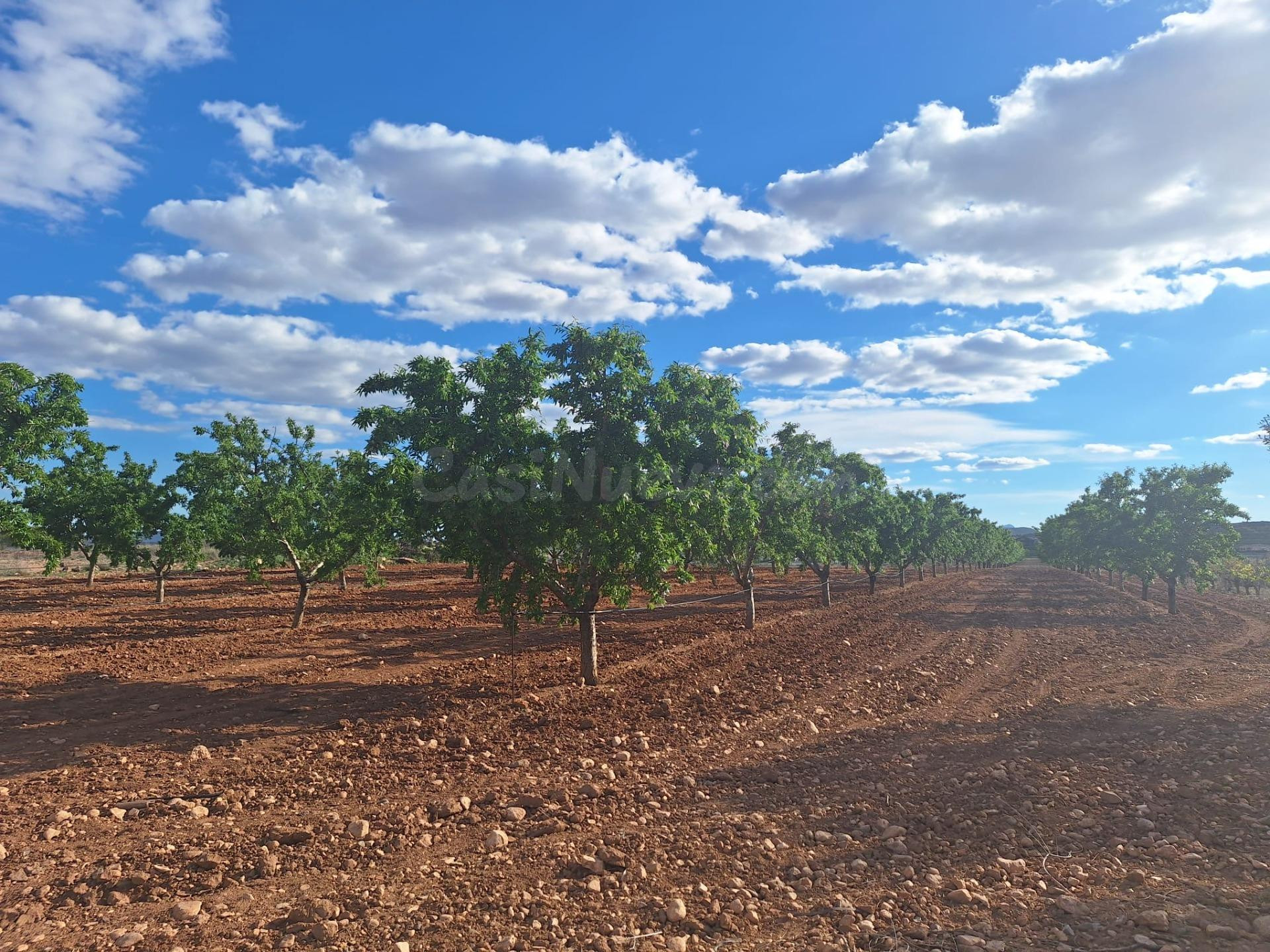 NATURALEZA Y POSIBILIDADES EN UNA UBICACIÓN PRIVILEGIADA