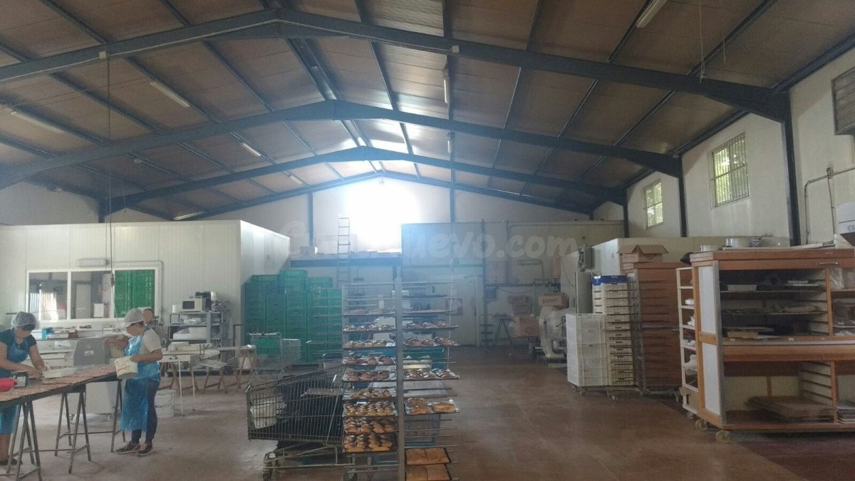 Nave industrial dedicada a fábrica de Panadería en Lorca