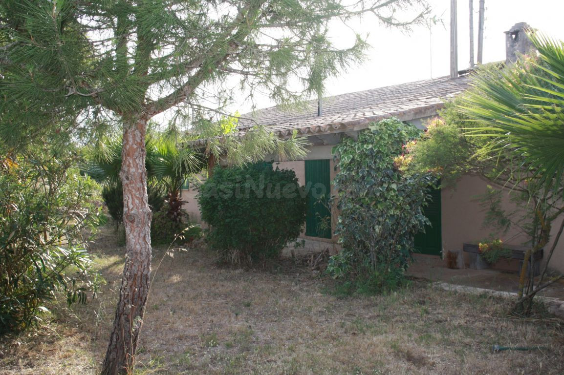 Terreno rústico con pequeña casita