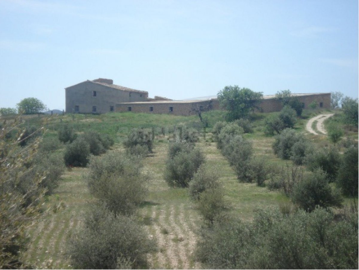 VENTA FINCA RUSTICA CON CORTIJO Y NAVE