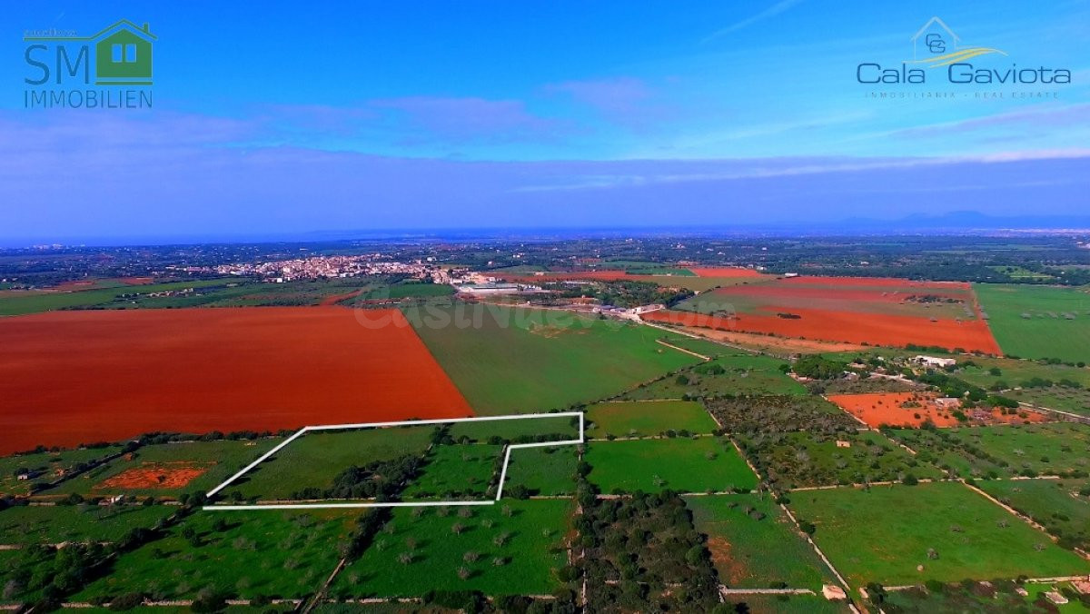 Terreno rústico de más de 18.500 m2 cerca de Ses Salines
