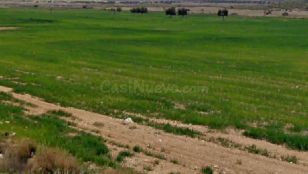 VENTA-ALQUILER FINCA EN LA PACA