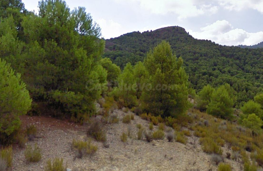 VENTA FINCA EN EL PUNTARRON