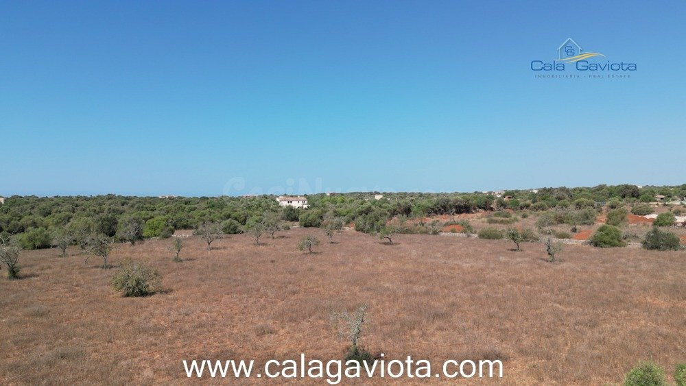 Terreno de 17.000 m2 con bonitas vistas