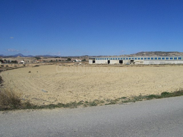 FINCA RÚSTICA EN DIPUTACIÓN DE RÍO