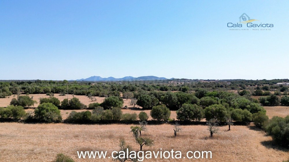 Terreno de 19.000 m2 a 2 km de Ses Salines