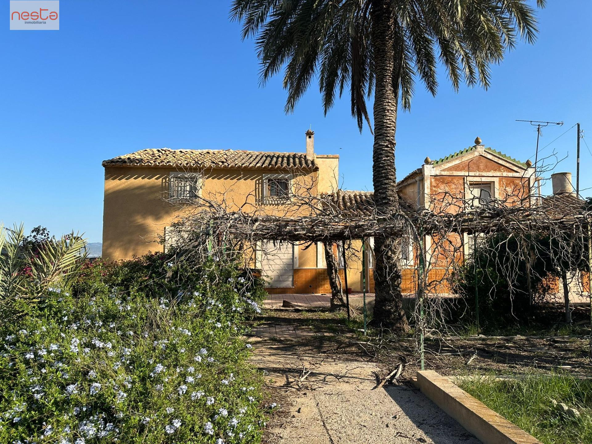 FINCA AGRARIA DE 4,5 HA CON CORTIJO
