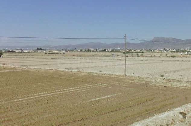 PARCELA EN CAZALLA PARA CONSTRUCCIÓN DE VIVIENDA