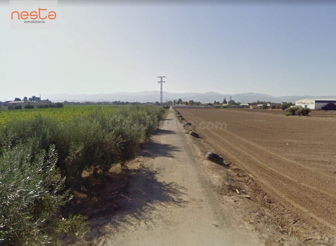 PARCELA EN LA HOYA CON 8.000 m2