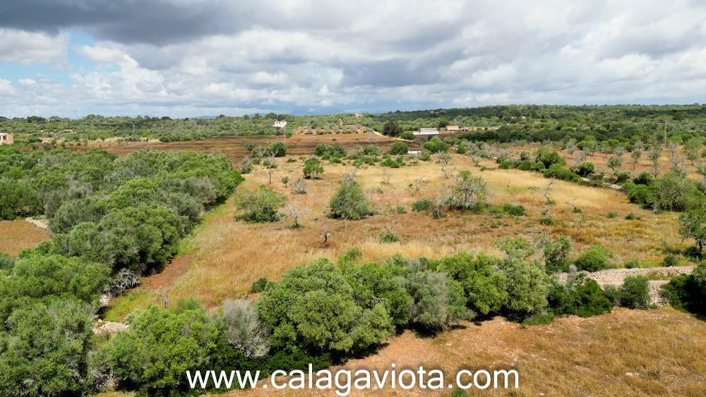 Terreno rústico en venta en Ses Salines