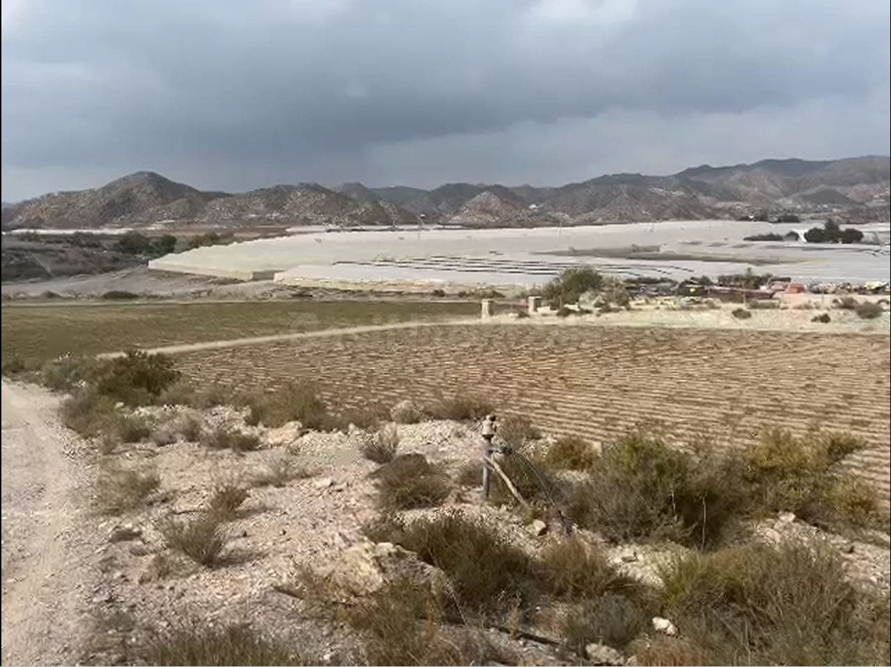 FINCA AGRÍCOLA EN AGUILAS