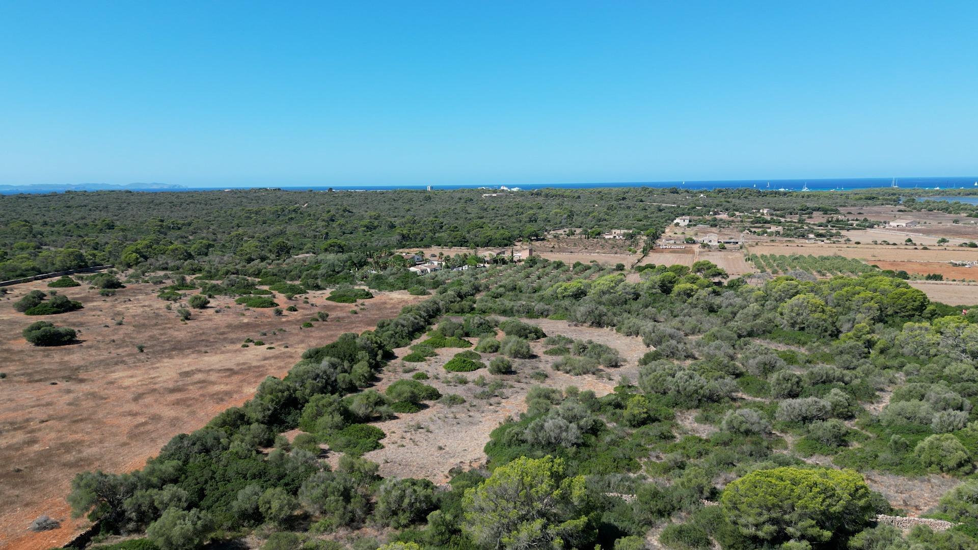 Terreno con vistas a las salinas d’Es Trenc