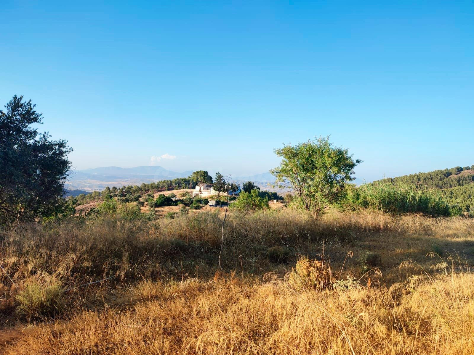 COMPLEJO FINCA RURAL DE 267 HECTÁREAS CON 6 VIVIENDAS Y PISCINAS