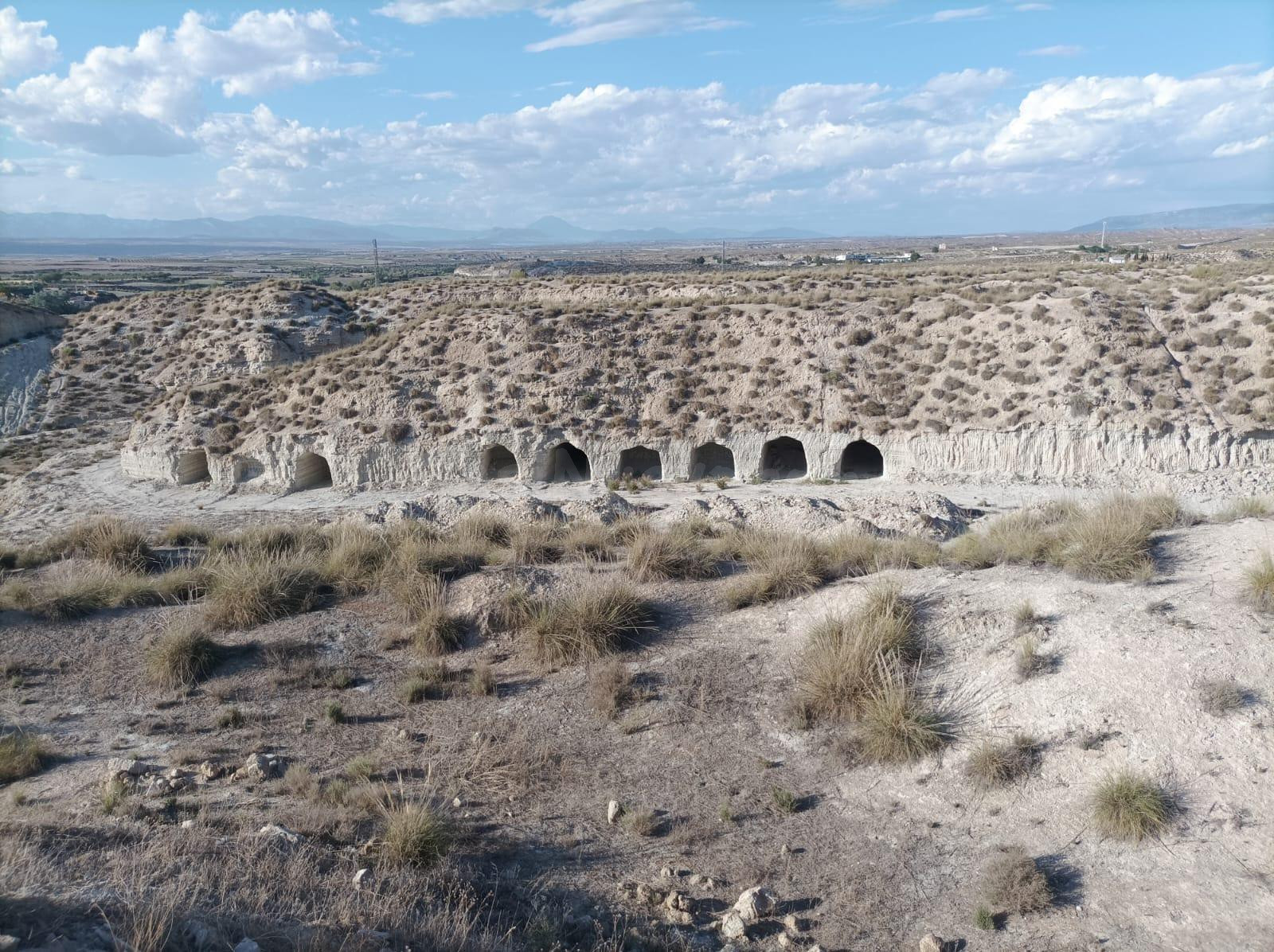 FINCA CON VARIAS CUEVAS EN ZONA RURAL DE BAZA