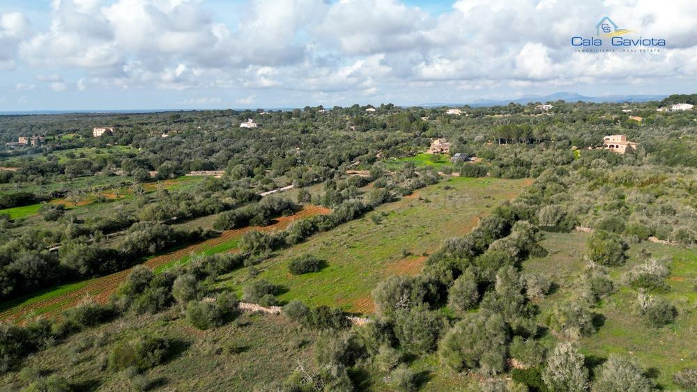 Terreno rústico en Ses Salines