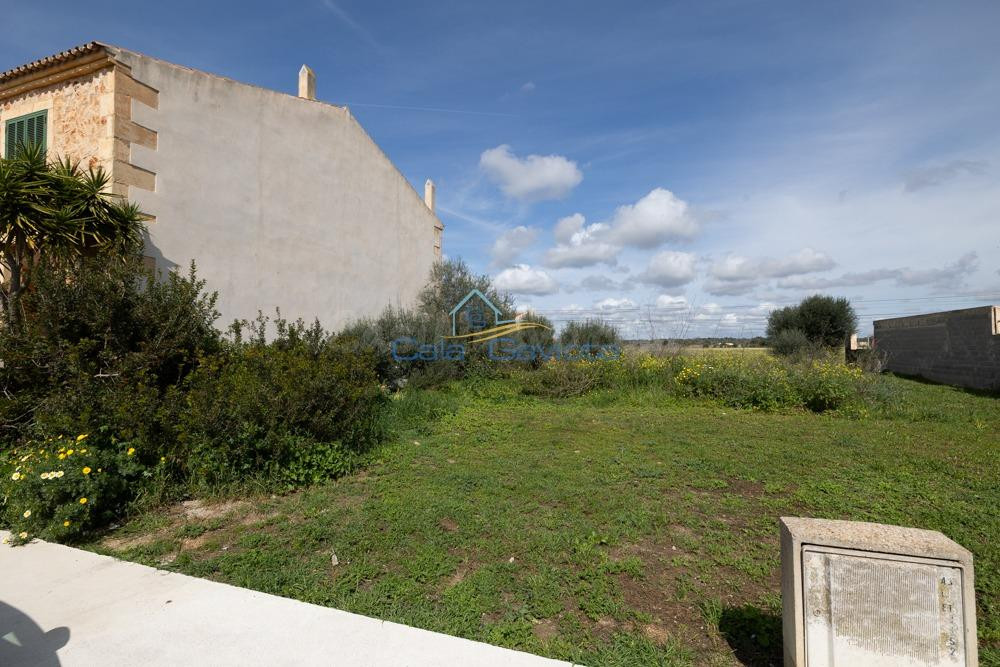 Solar urbano en Ses Salines – 391 m2