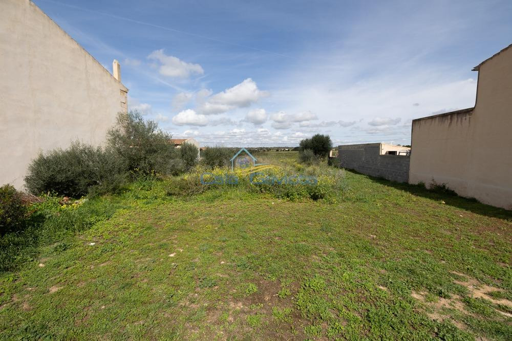 Solar urbano en Ses Salines – 739 m2