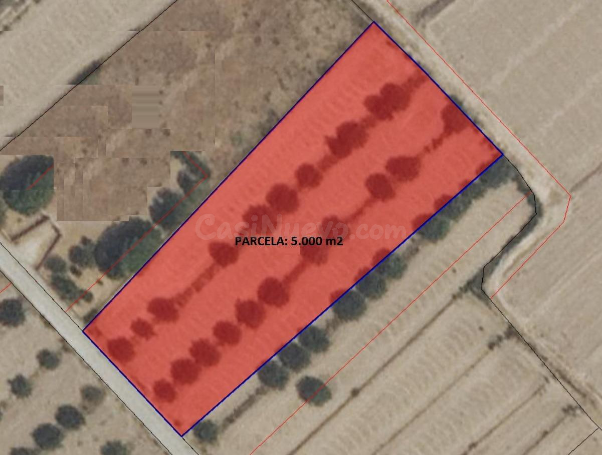 PARCELA 5.000 m2 EN AGUADERAS PARA EDIFICAR O CULTIVAR