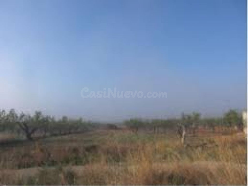 Terreno rural VENTA en Cabanes, 25000 m. superficie parcela  - foto 3