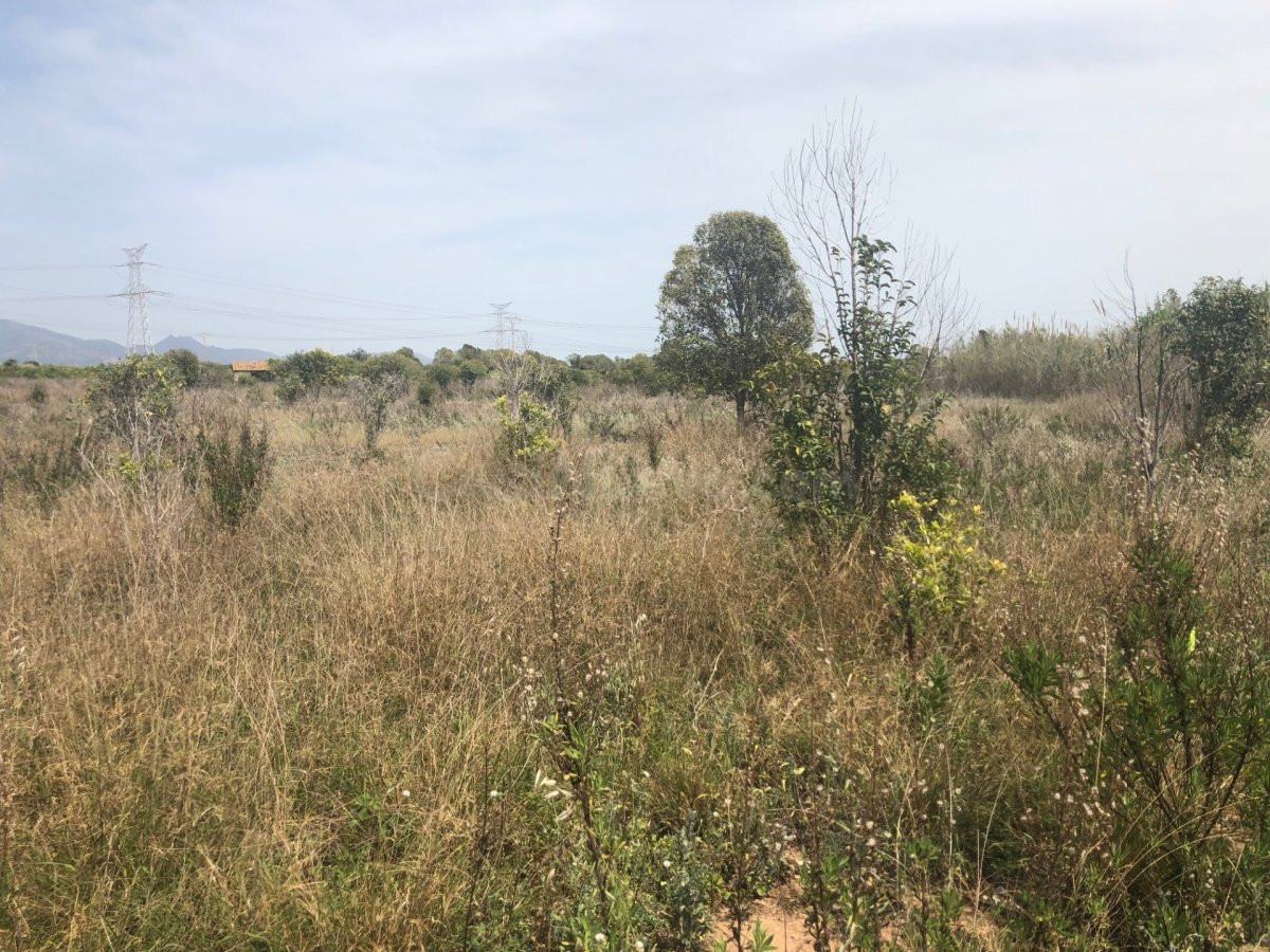 Terreno rural VENTA, suelo rustico, en Castellón Partida ALMALAFA