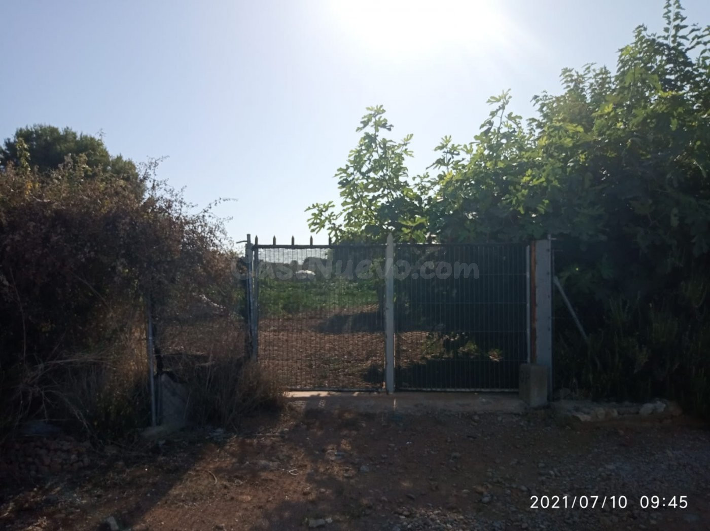 Terreno rural VENTA en Castellón zona NORTE, 3000 m.