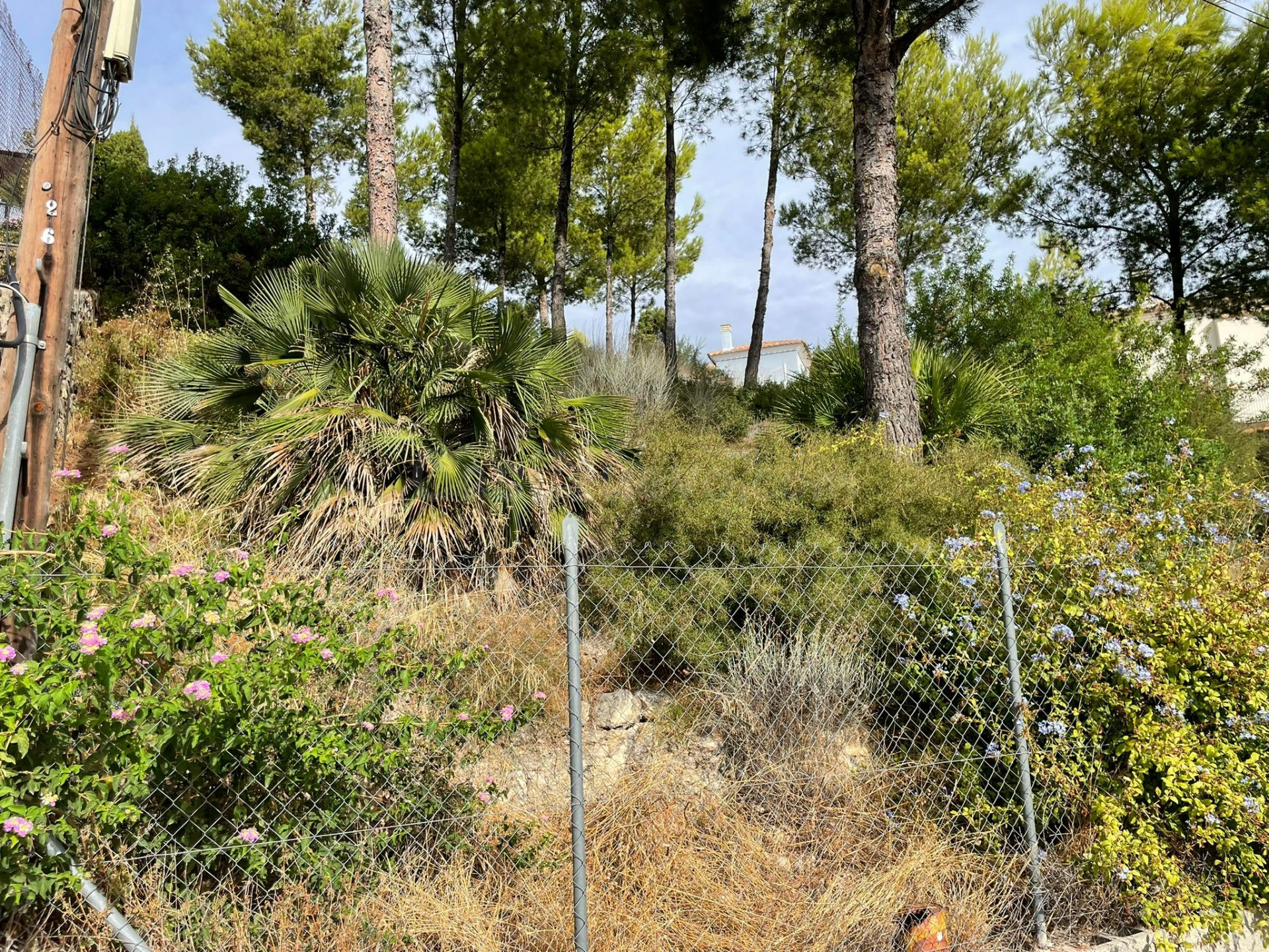 Solar VENTA en Benicassim zona Urbanizacion Montemolino, 1016 m. superficie parcela