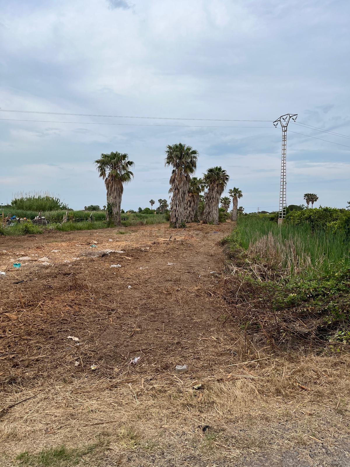 Parcela VENTA en Castellón, zona Camino La Plana, 3676m2 terreno rustico.
