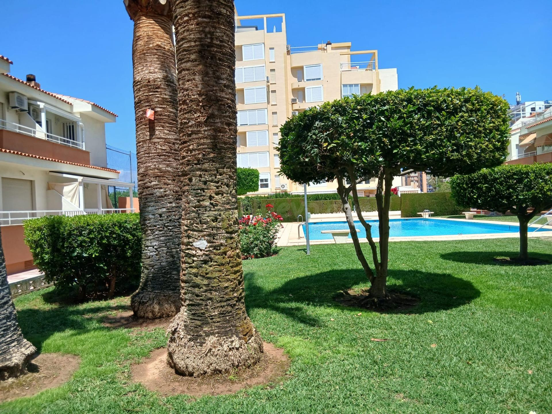 ALQUILER VACACIONAL EN LA PLAYA DE GANDIA