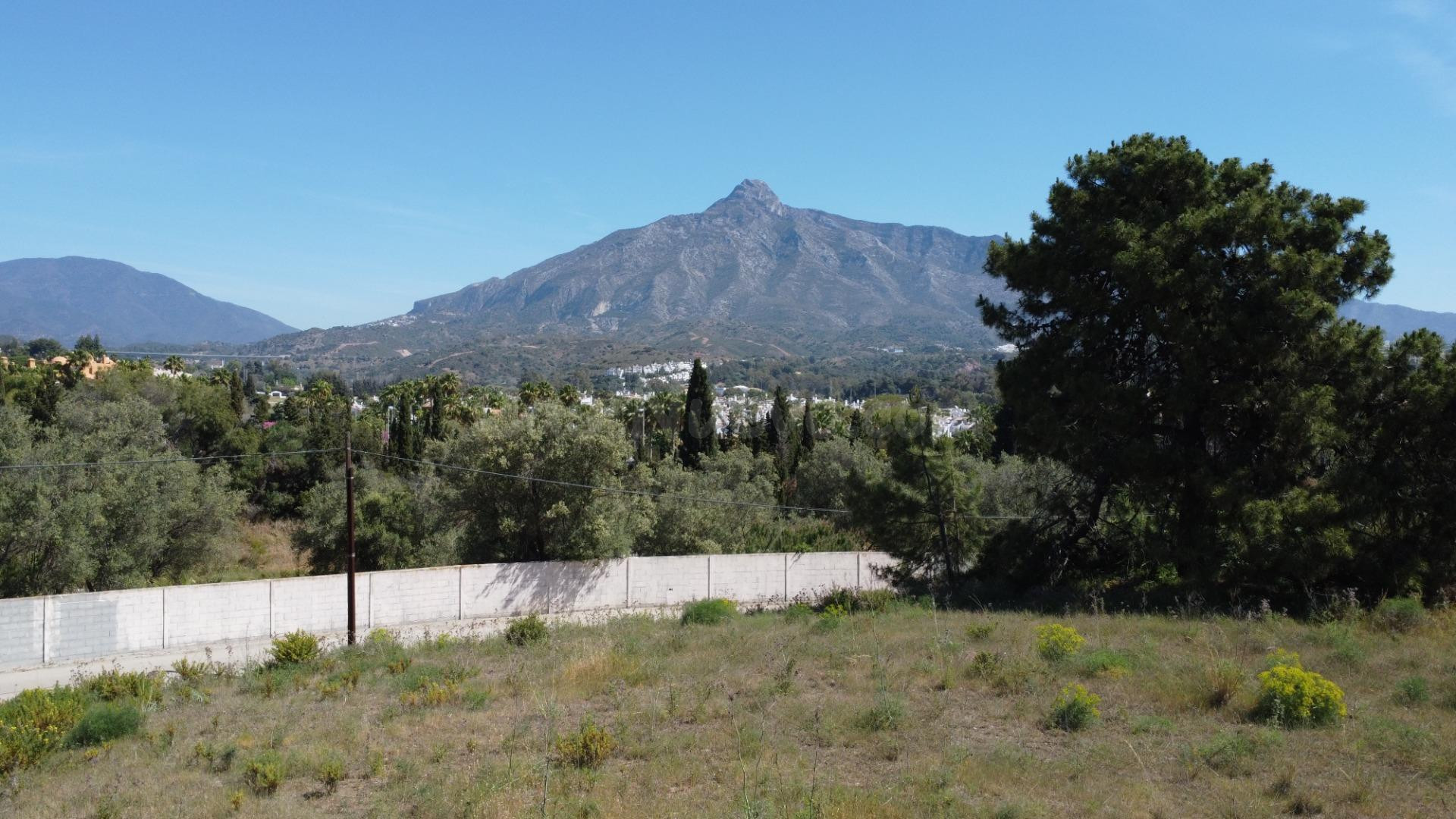 Espectacular parcela  de más de 1.200 M2 en la zona más demanda y con más prestigio de Marbella.
