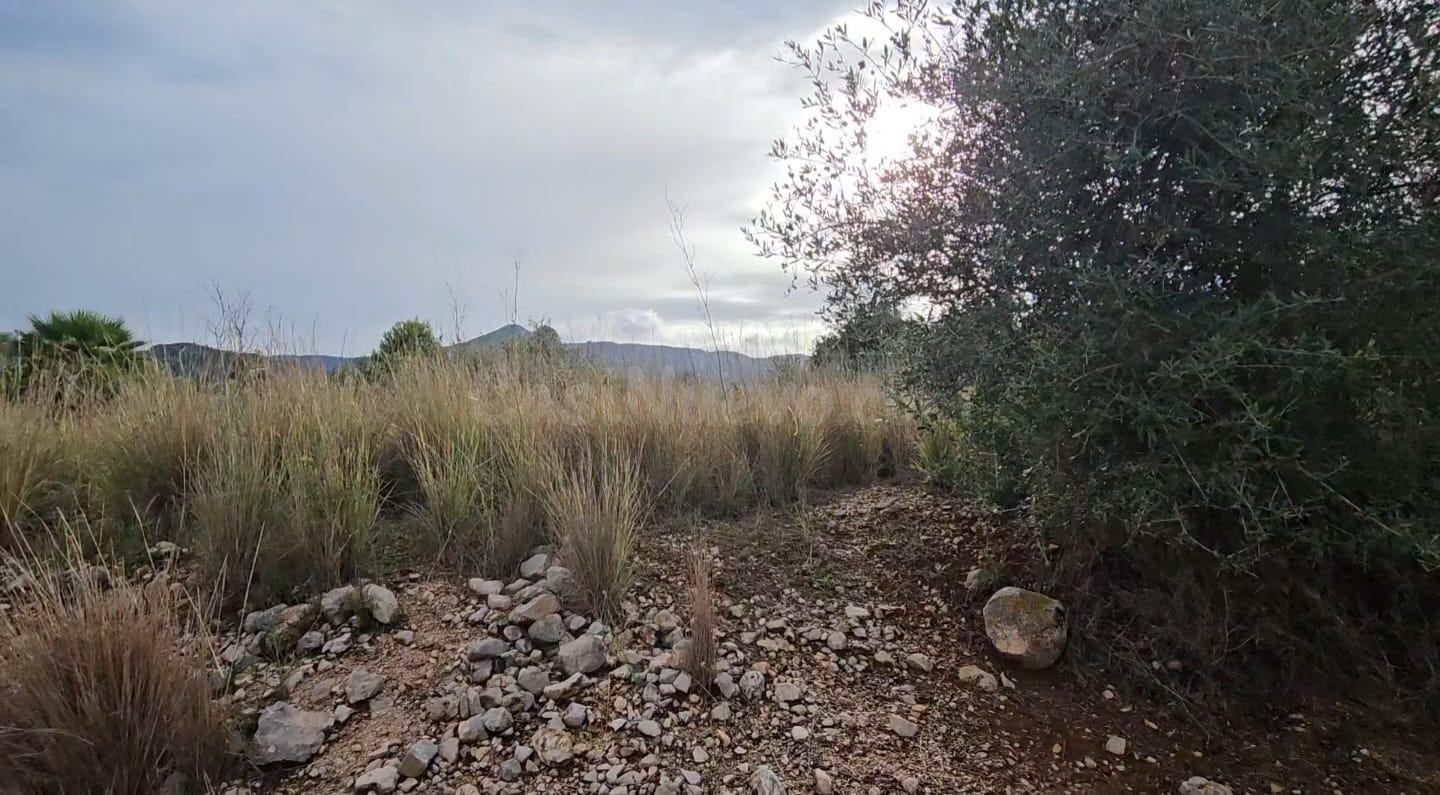 Se vende parcela rústica en término de Tormos - foto 3