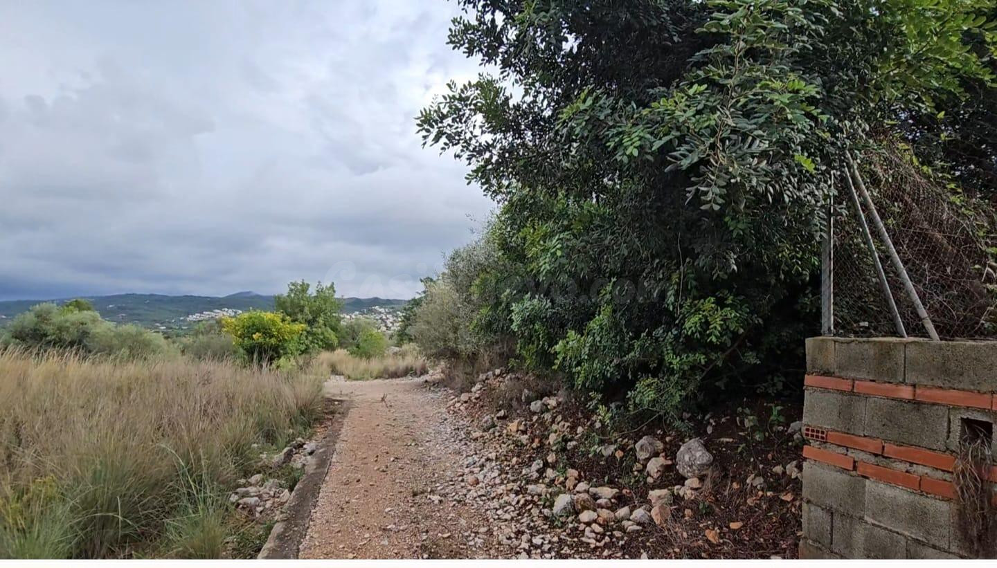 Se vende parcela rústica en término de Tormos - foto 4