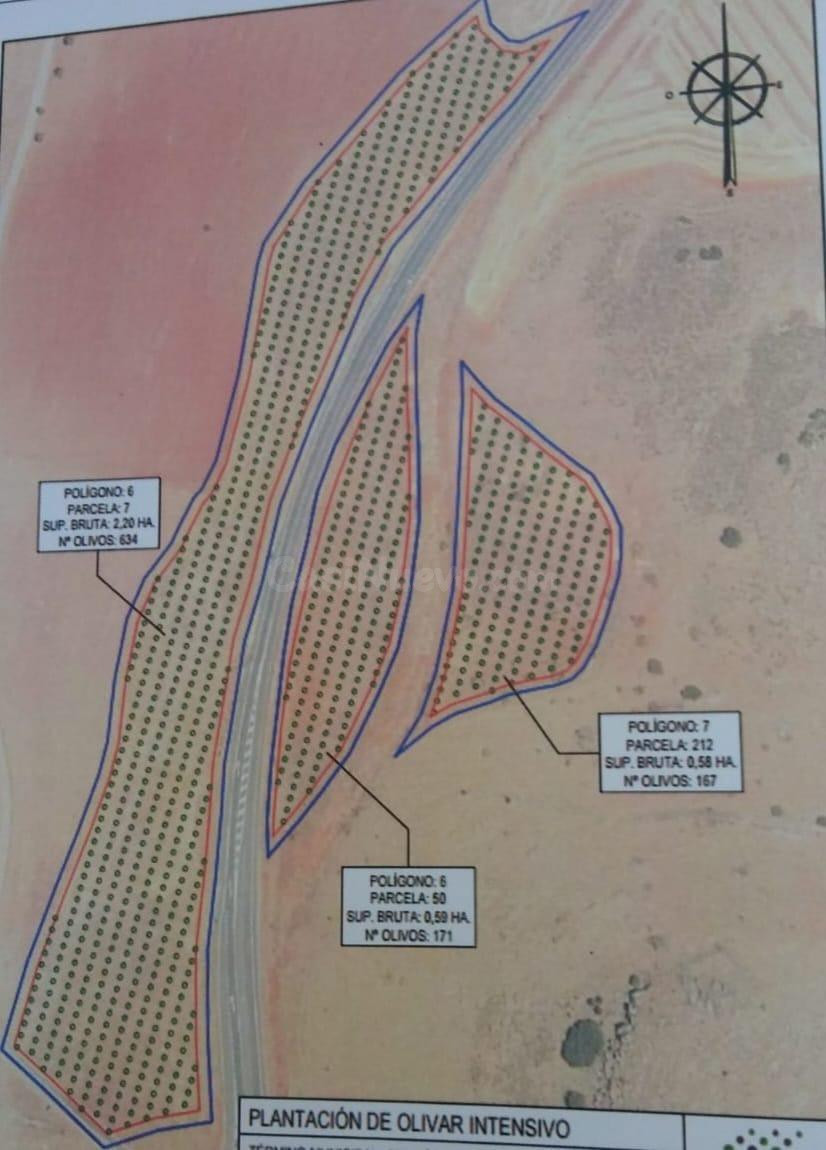 Se vende parcela Granatula de Calatrava Paraje Zorrilla, Ciu
