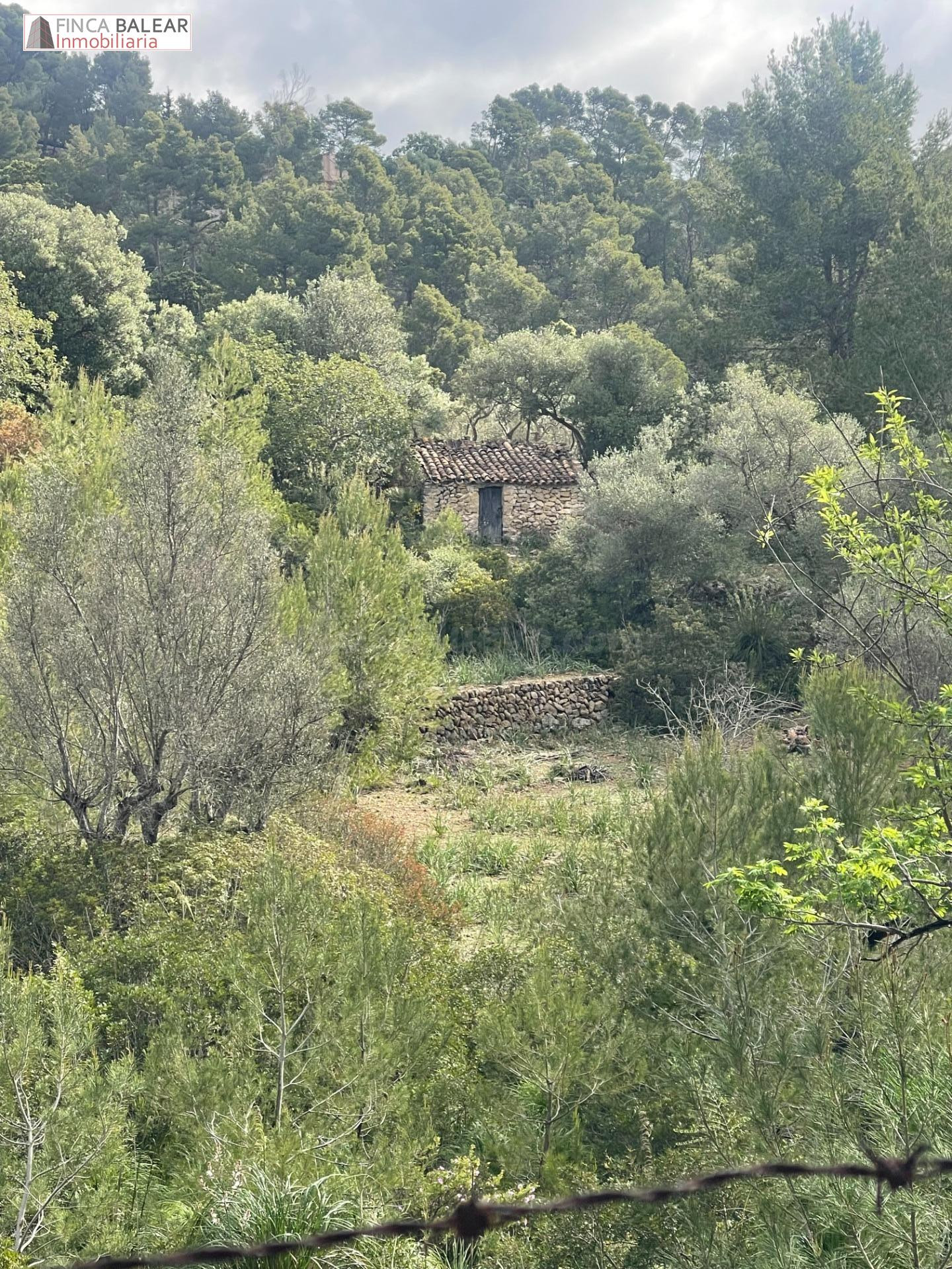 TERRENO RUSTICO EN GALILEA CON CASITA DE APEROS DE 20 M2 POR REFORMAR