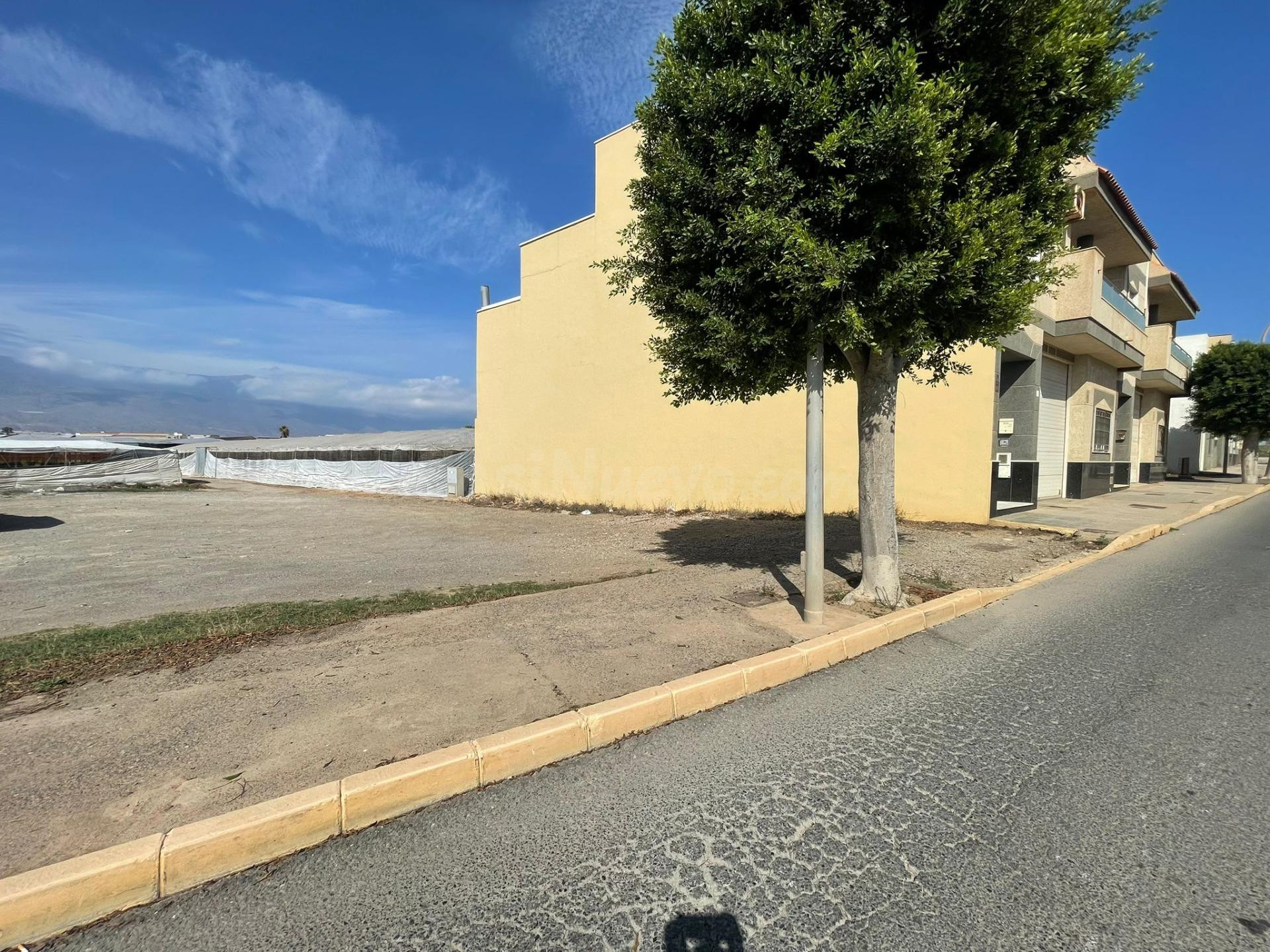 TERRENO URBANO EN MATAGORDA (EL EJIDO)