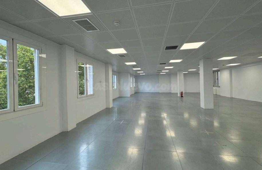 OFICINA _ Entre Colón y Cibeles, presencia para tu negocio