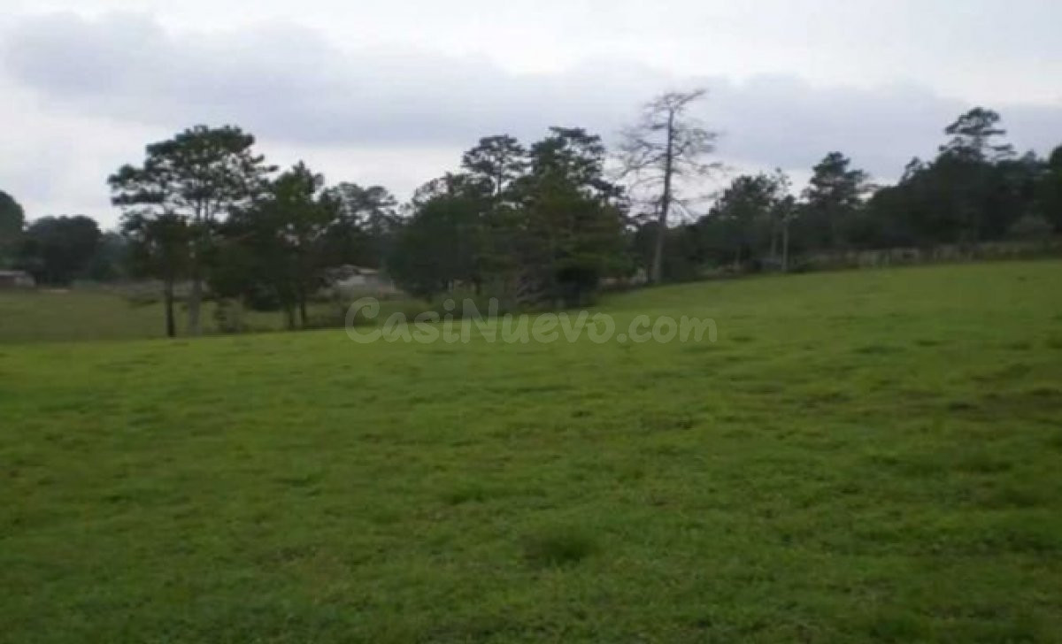 VENTA JUNTA O SEPARADA, 20 HECTAREAS