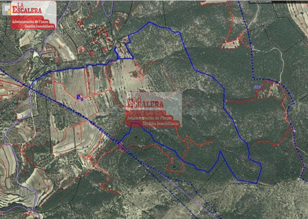 PORTELL DE CATÍ. 88 HA. DE SUELO NO URBANIZABLE EN CASTALLA.