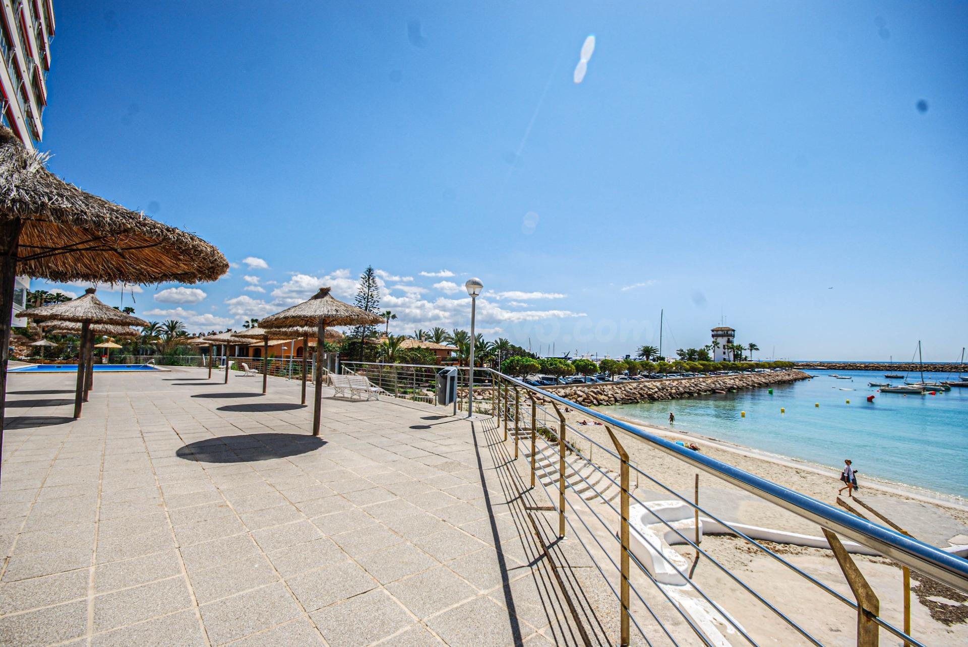 ALQUILER DE TEMPORADA EN PORTALS NOUS – CLUB MARINA