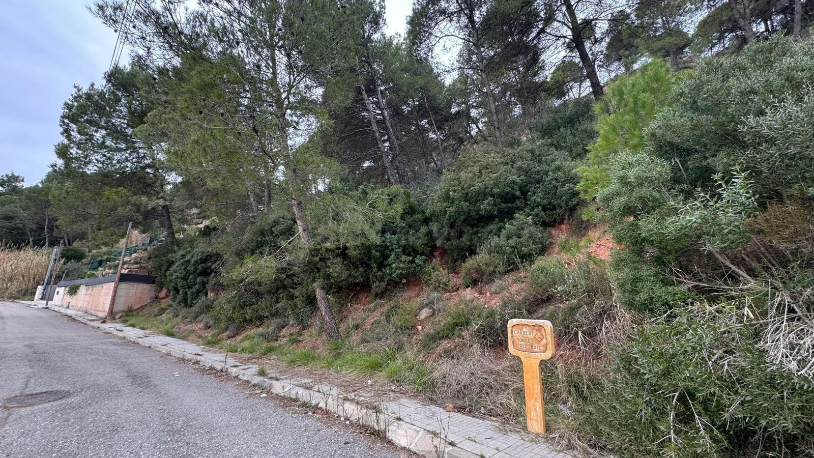 AMPLIO TERRENO CON VISTAS EN RELLINARS
