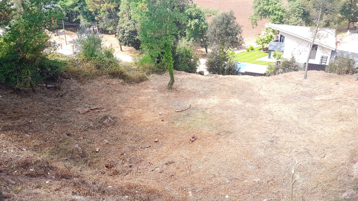 TERRENO ESQUINERO SIN VECINOS