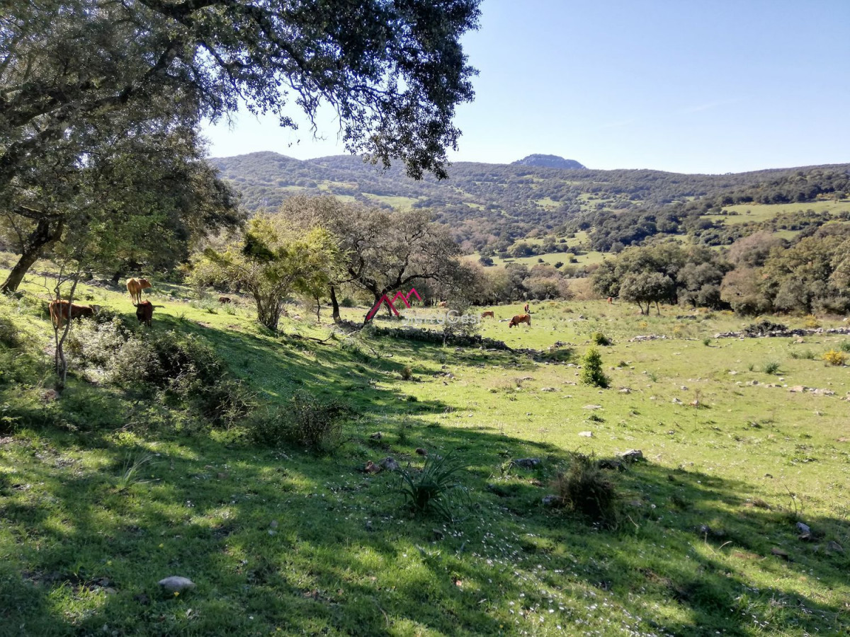 VENTA FINCA RÚSTICA CORTES DE LA FRA.